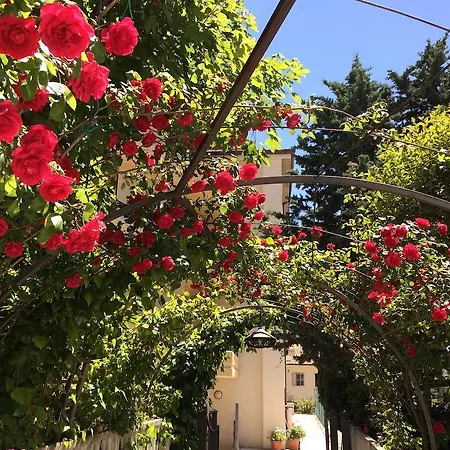Szálloda Parco Delle Rose 4*