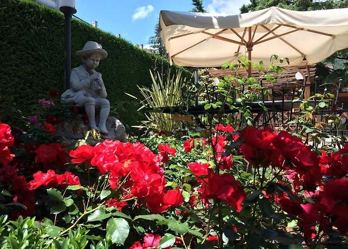 Hotel Parco Delle Rose San Giovanni Rotondo