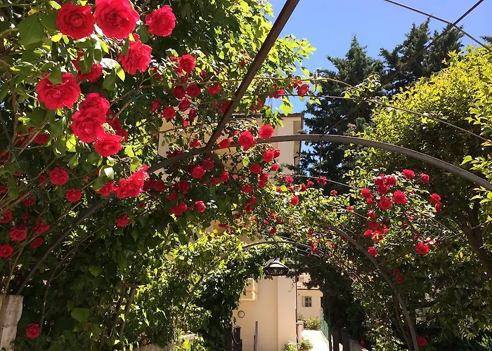 Hotel Parco Delle Rose 4*